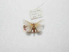 FIGURE 3d FIGURE 3d